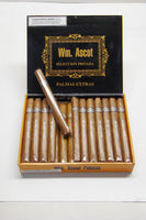 Wm. Ascot Palma Natural